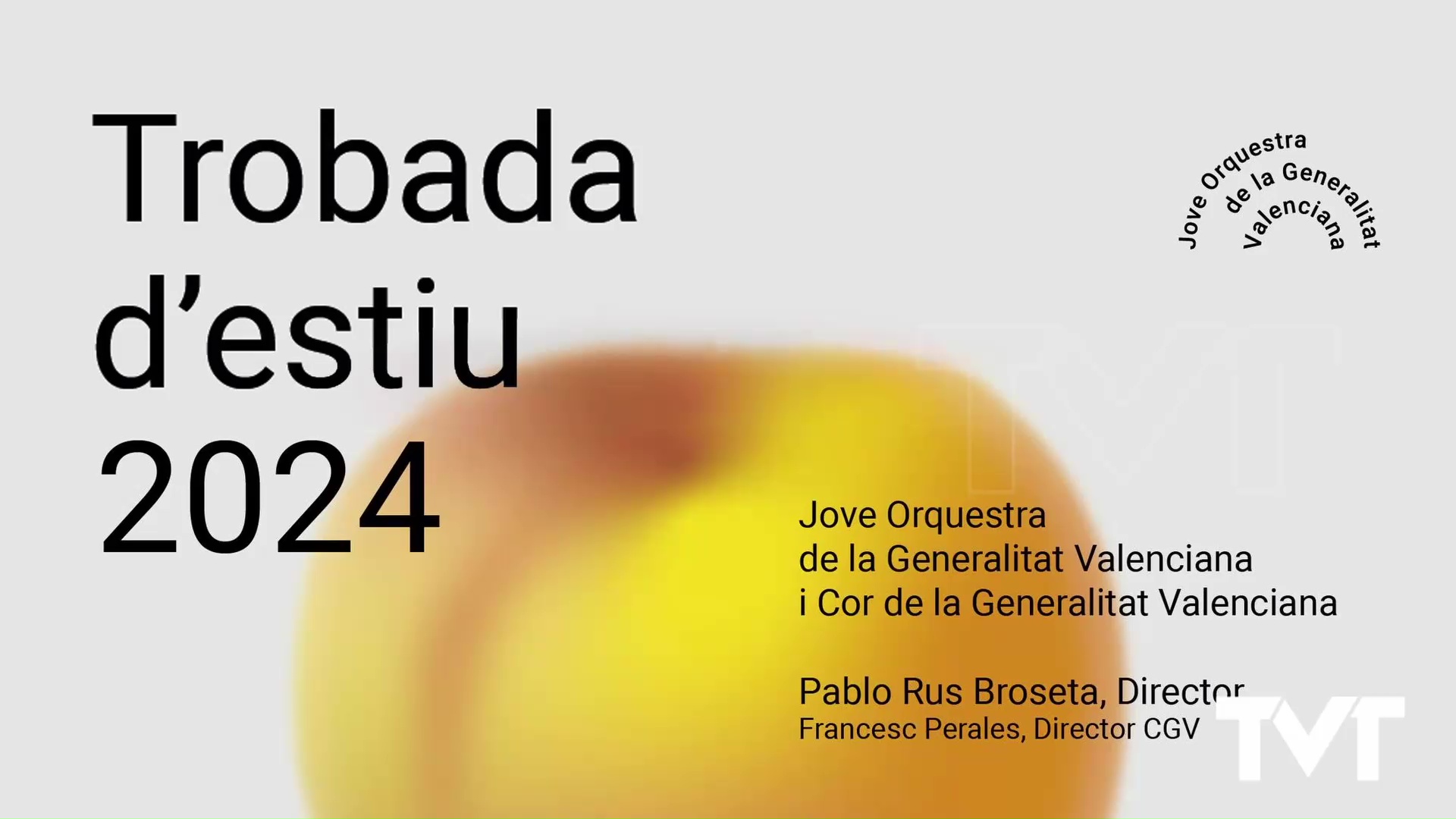 Concierto Jove Orchestra GV ‘Trobada d’estiu’